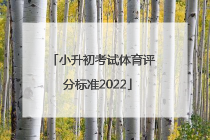 「小升初考试体育评分标准2022」广州小升初体育评分标准2021