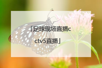 「足球现场直播cctv5直播」中国女足球今晚比赛cctv5直播
