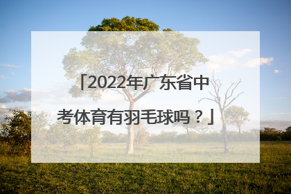 2022年广东省中考体育有羽毛球吗？