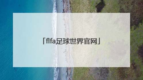 「flfa足球世界官网」fifa足球世界体验服
